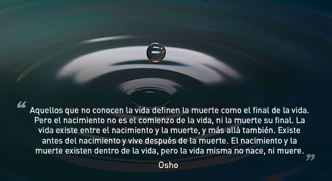 Hay vida después del nacimiento? – OSHO International Newsletter